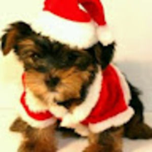 Meet your Posher, Kylie